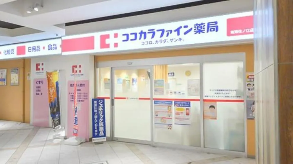 9LDK Property Osaka City Osaka Prefecture (13)