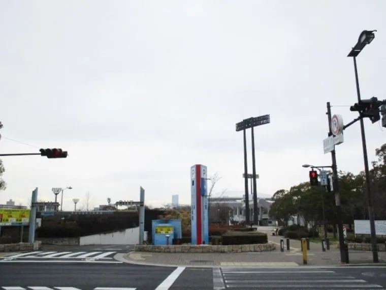 9LDK Property Osaka City Osaka Prefecture (15)