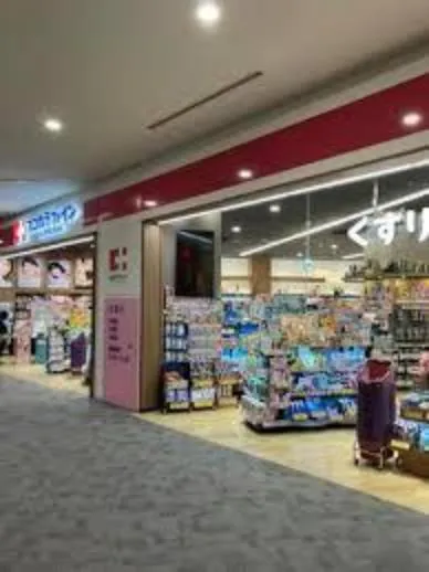 5LDK Property Osaka City Osaka Prefecture (15)