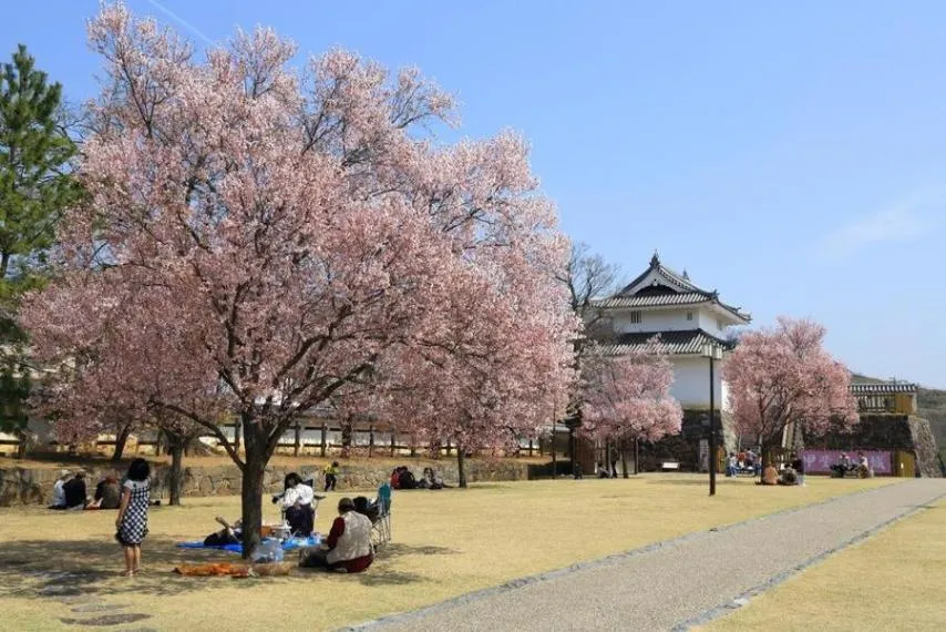 6DK Property Kofu City Yamanashi Prefecture (23)