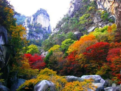 6DK Property Kofu City Yamanashi Prefecture (26)