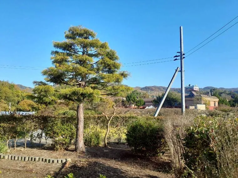 3DK Property Iwade City, Wakayama Prefecture (29)