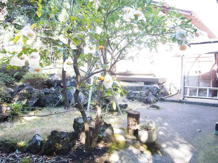 1LDK Property in Ito City, Shizuoka Prefecture (16)
