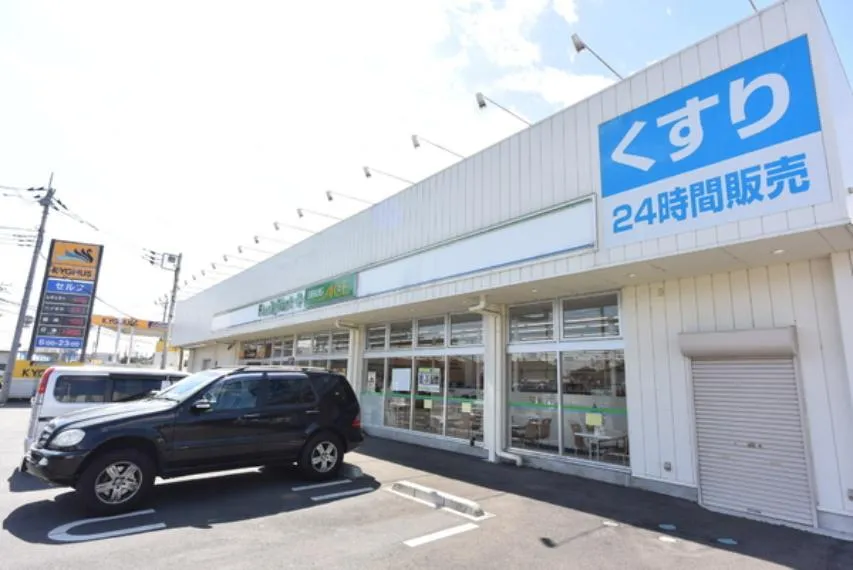 3LDK Sayama City Saitama Prefecture (22)