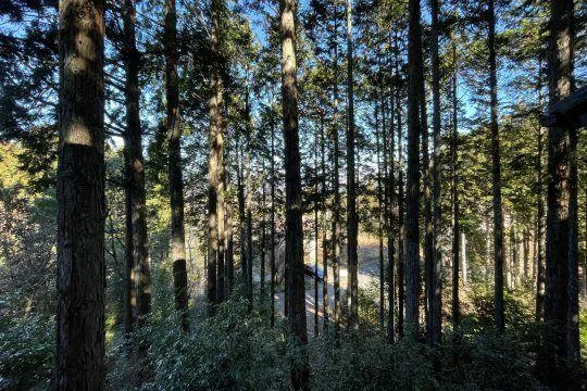 2LDK Property Kannamicho Shizuoka Prefecture (12)