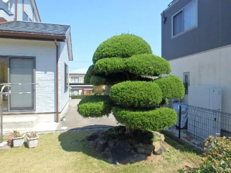 5SLDK Property Shimoda City Shizuoka Prefecture (8)