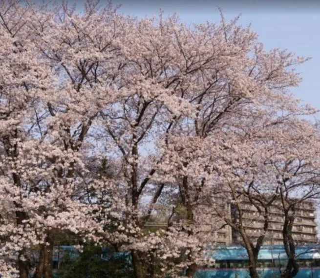 3DK Property Zama City Kanagawa Prefecture (34)