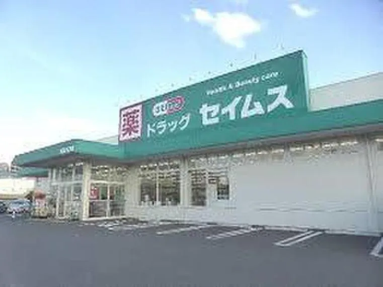 Saitama Koshigaya 3LDK Property (9)