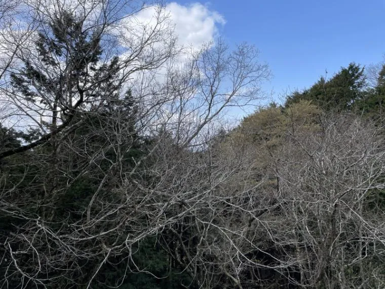 2LDK Property Izu City Shizuoka Prefecture (15)