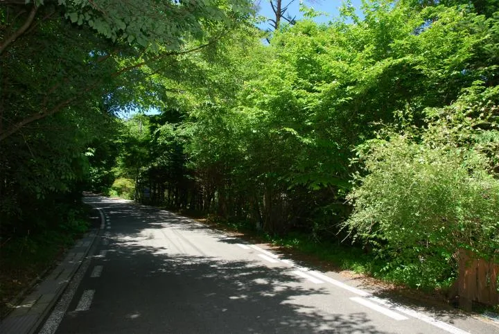 2LDK Property Karuizawa Town Nagano Prefecture (17)