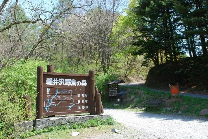 2LDK Property Karuizawa Town Nagano Prefecture (18)