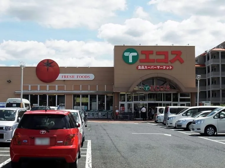 3DK Property Sakura City Chiba Prefecture (9)