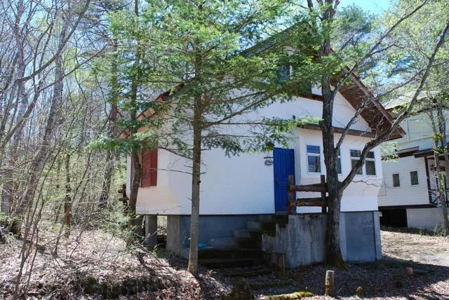 1LDK+Loft Property Azuma-gun Tsumagoi-mura Gunma Prefecture (4)