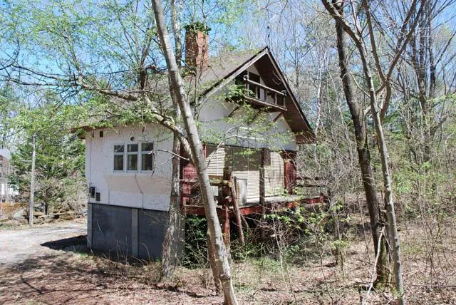 1LDK+Loft Property Azuma-gun Tsumagoi-mura Gunma Prefecture (5)