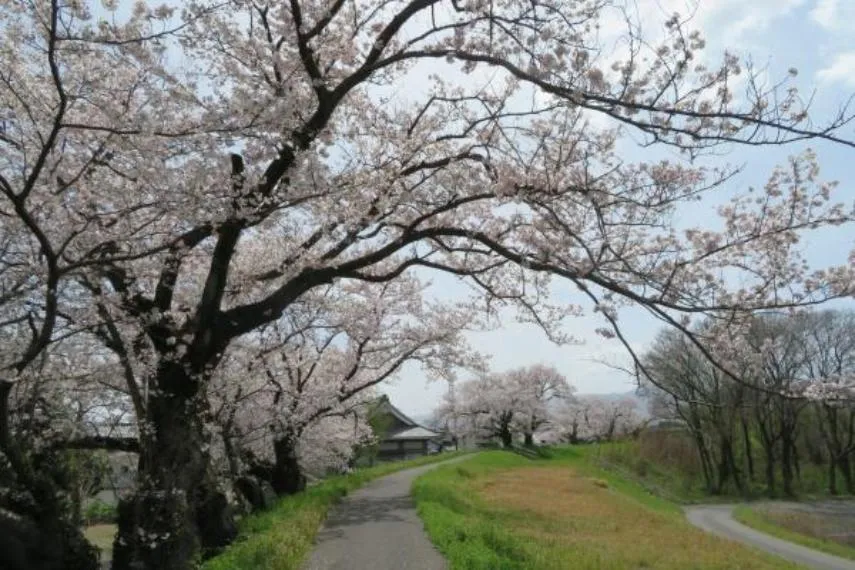 5DK Property Ogaki City Gifu Prefecture (20)