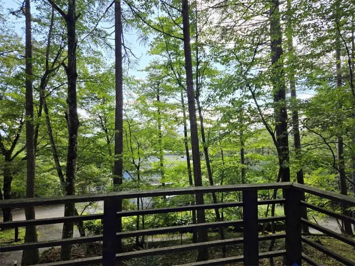 4LDK Property Karuizawa Town, Nagano Prefecture (25)