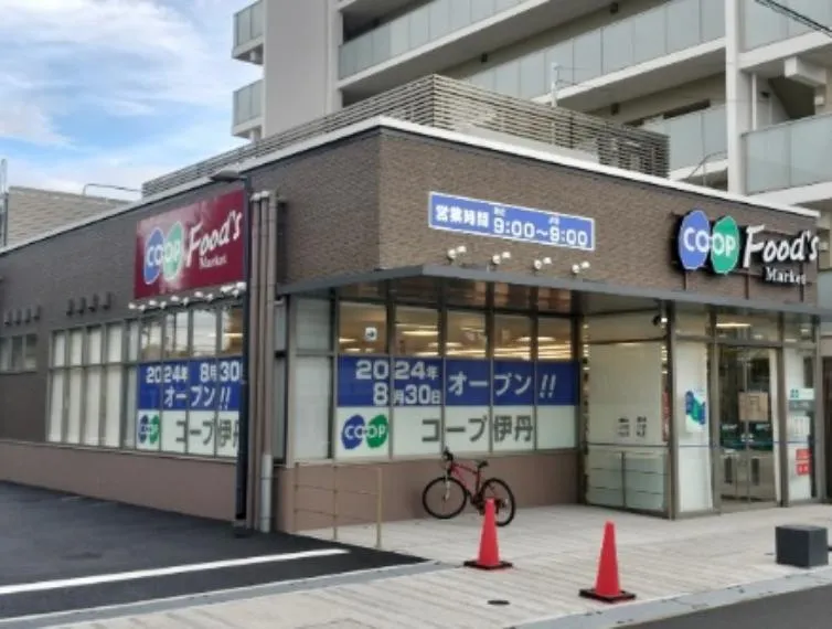 2LDK Property Itami City Hyogo Prefecture (10)