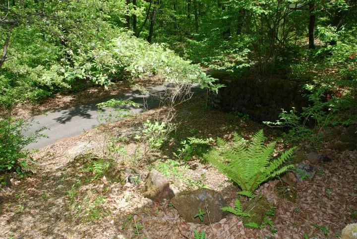 2LDK+Loft Tsumagoi-mura, Agatsuma-gun, Gunma Prefecture (21)