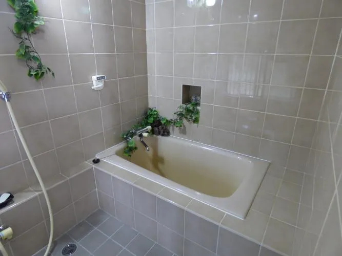 3LDK Property Ito City Shizuoka Prefecture (15)