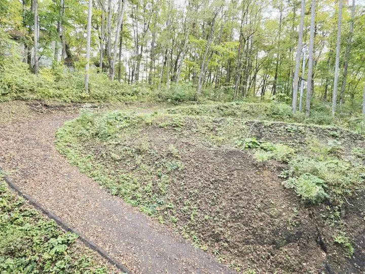 3LDK Karuizawa-machi Nagano Prefecture (29)