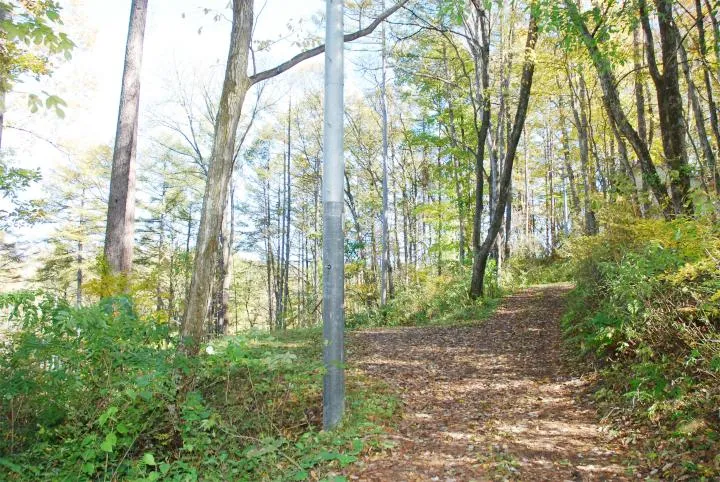 3LDK Karuizawa-machi Nagano Prefecture (30)