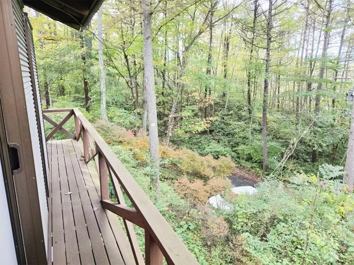 3LDK Karuizawa-machi Nagano Prefecture (9)