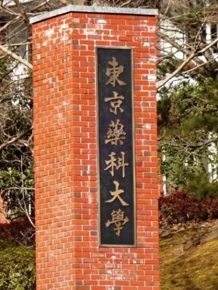 4SLDK Property Hachioji City Tokyo (4)
