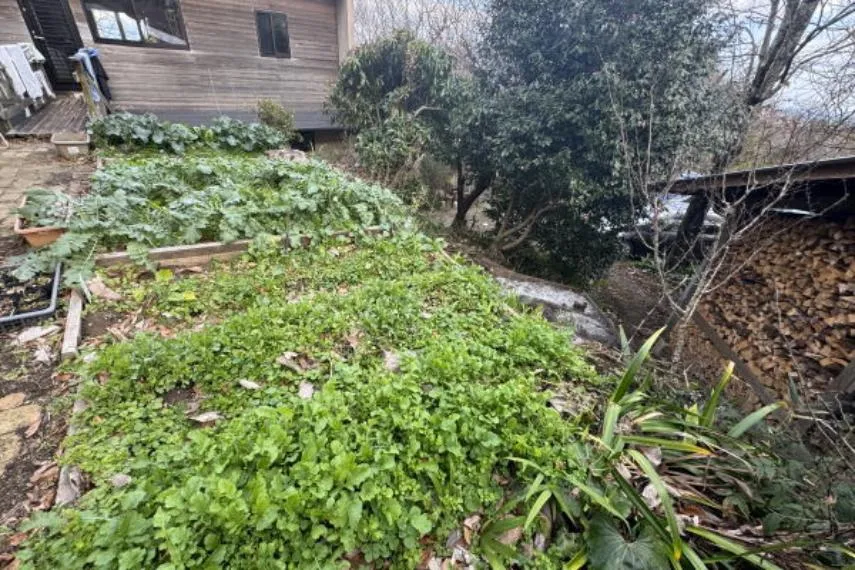 Shizuoka Atami 2LDK Property (3)