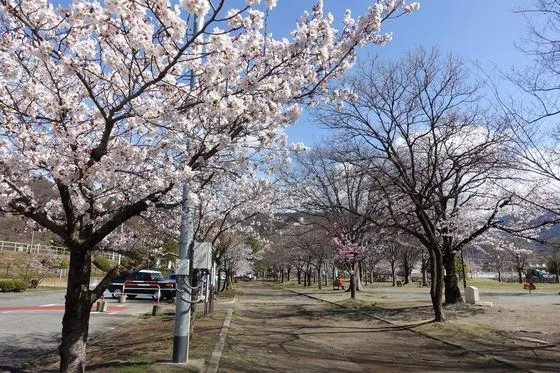 Service Room Property Kofu City Yamanashi Prefecture (34)