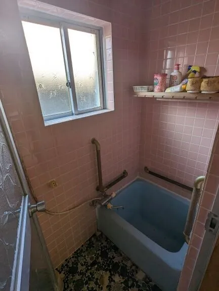 Объект 3К город СайКи префектура Оита (9)
