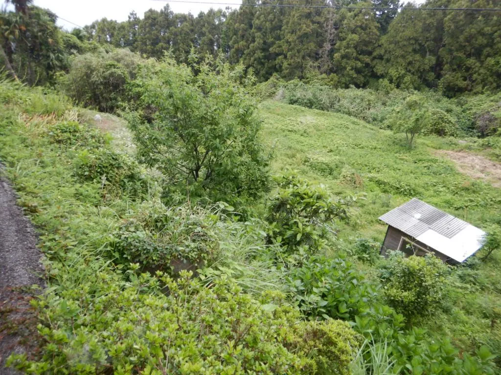 Propiedad 5DK de la ciudad de Iyo, prefectura de Ehime (15)