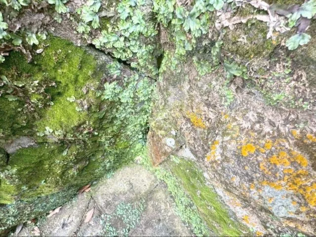 Propiedad 4DK Ciudad de Unzen Prefectura de Nagasaki (28)